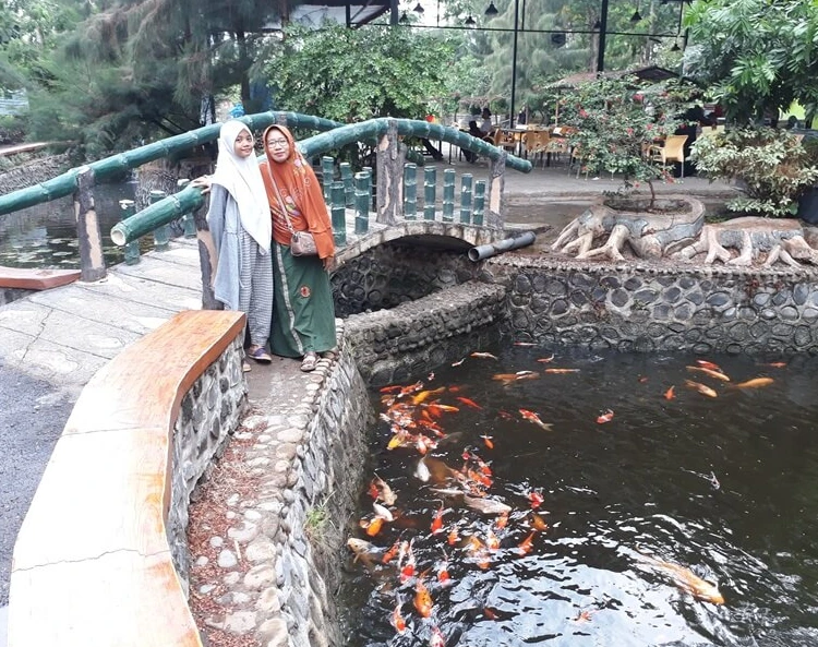 Terapi Ikan