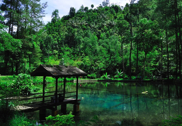 Mitos Wisata Telaga Rambut Monte