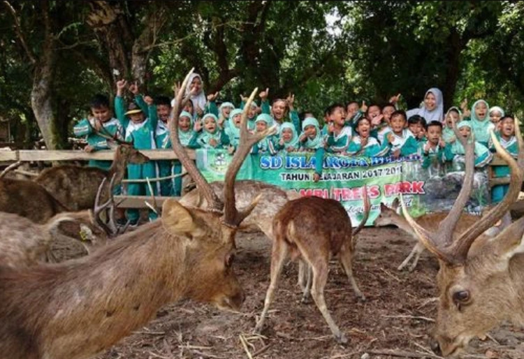 Lokasi dan Tiket Masuk