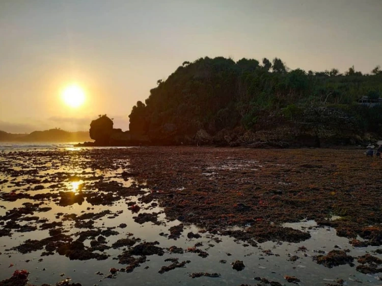 Rute Perjalanan Menuju Pantai Pangi