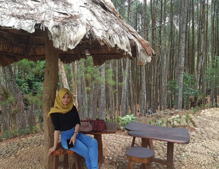 Lokasi dan Tiket Masuk Hutan Pinus Gogoniti