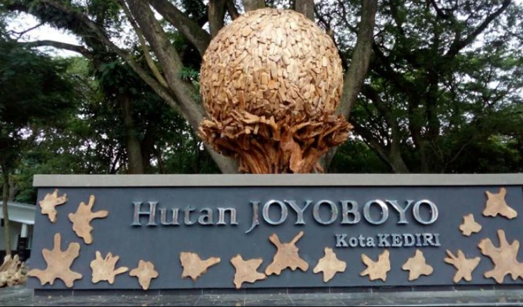 Daya Tarik Hutan Joyoboyo