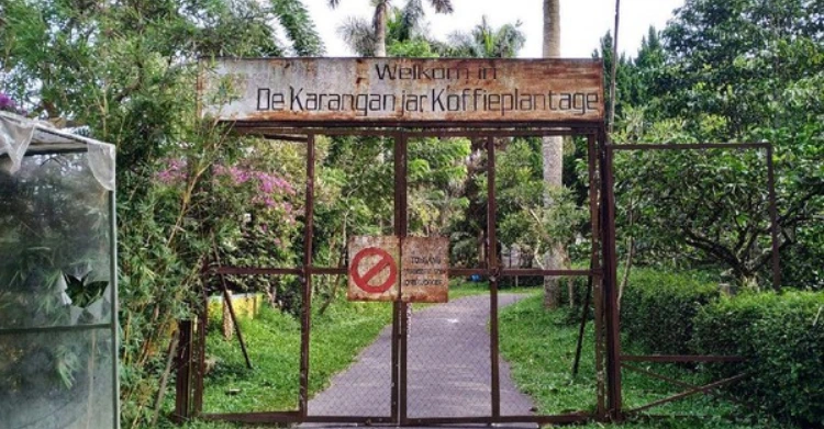 Tempat Menarik di Kebun Kopi Karanganyar