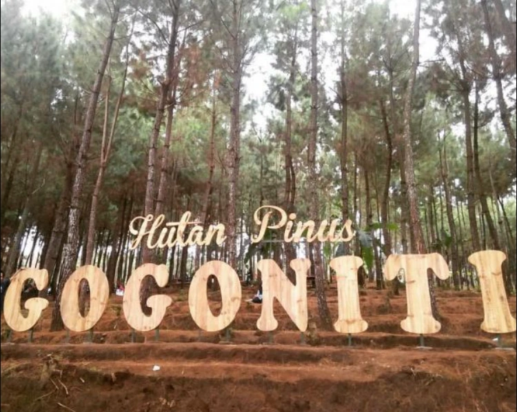 Rute Perjalanan Menuju Hutan Pinus Gogoniti