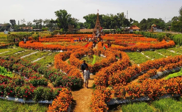 Sebutan Lain Crop Circle Kediri: Taman Dewi Cemara