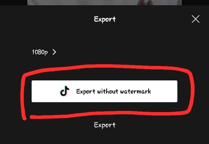 export without watermark