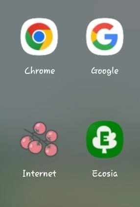 Browser