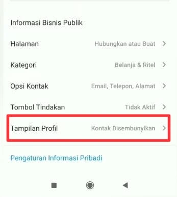 tampilan profil