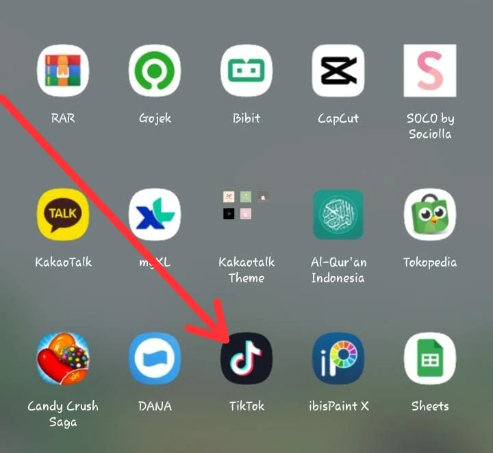 Aplikasi TikTok