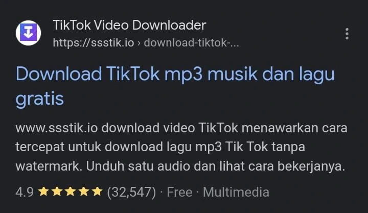 TikTok Video Downloader