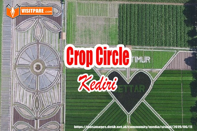 crop Circle kediri