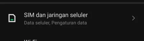 SIM dan jaringan seluler