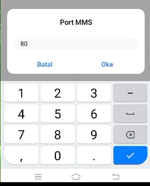 Port MMS