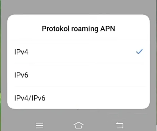 protokol roaming APN