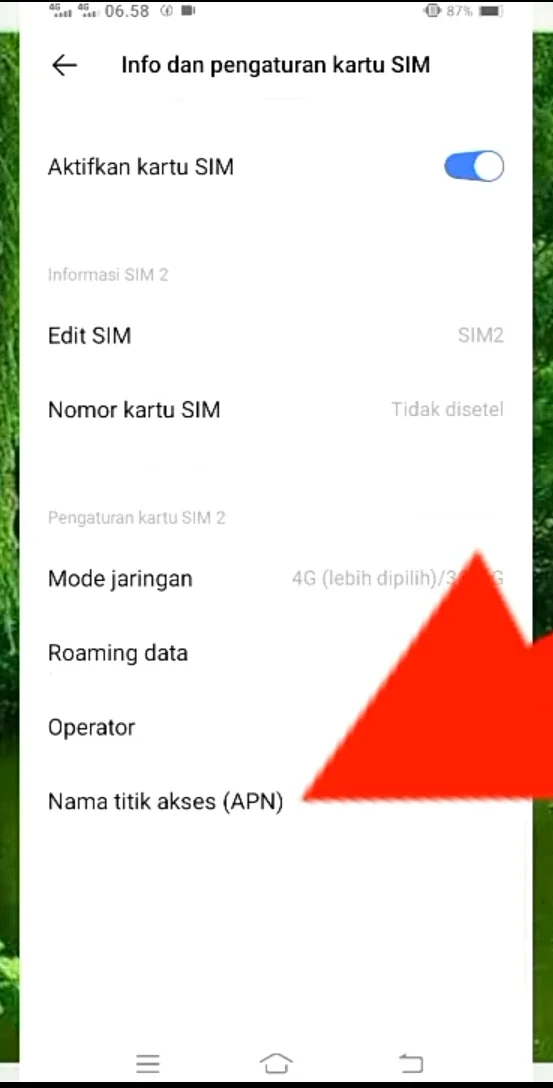 nama titik akses/ APN.