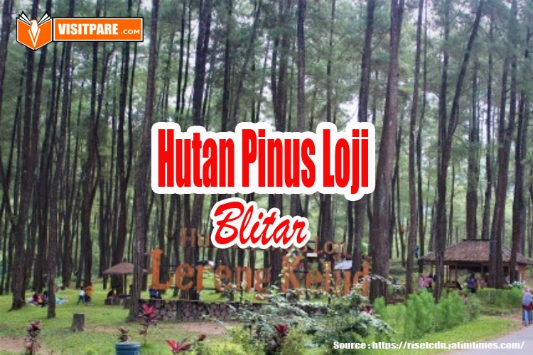 Hutan Pinus Loji