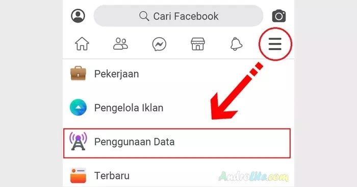 Penggunaan Data