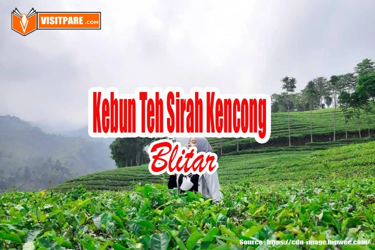 Kebun Teh Sirah Kencong