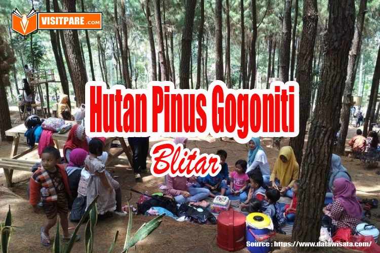 Hutan Pinus Gogoniti