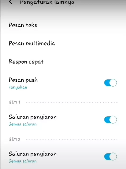 Setting SMS Premium Android 11