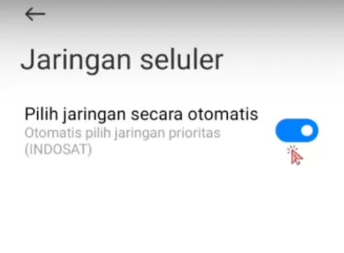 Setting SMS Premium Android 11