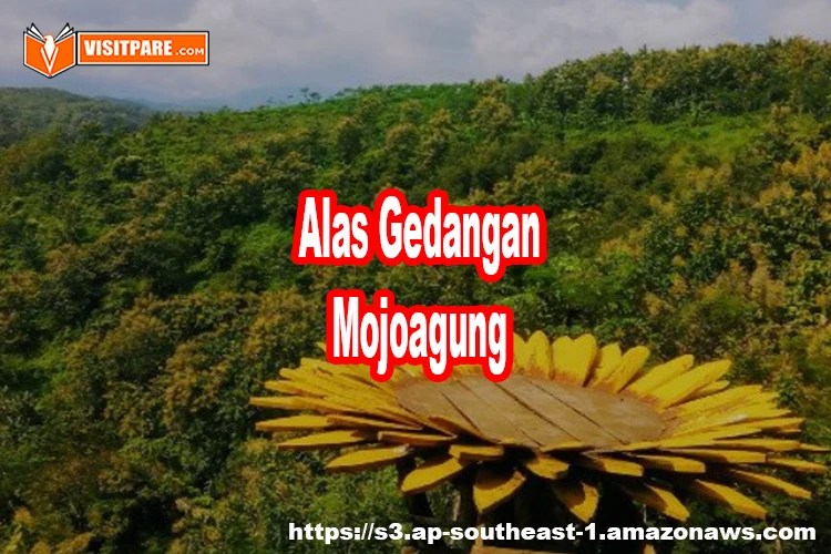 Alas Gedangan Mojoagung