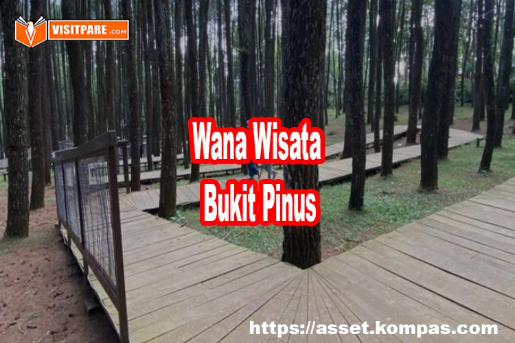 Wana Wisata Bukit Pinus