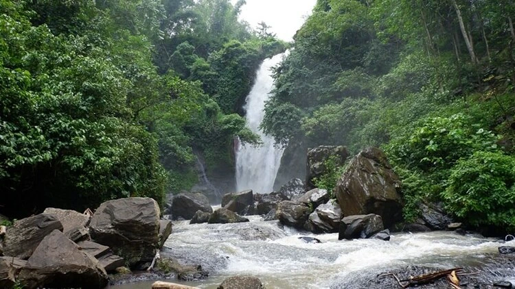 Air Terjun Antrokan Jember