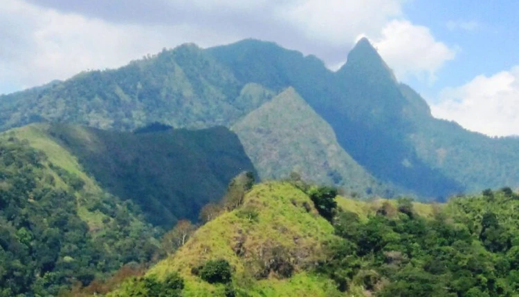 Apa yang Menarik di Bukit Seloringgit