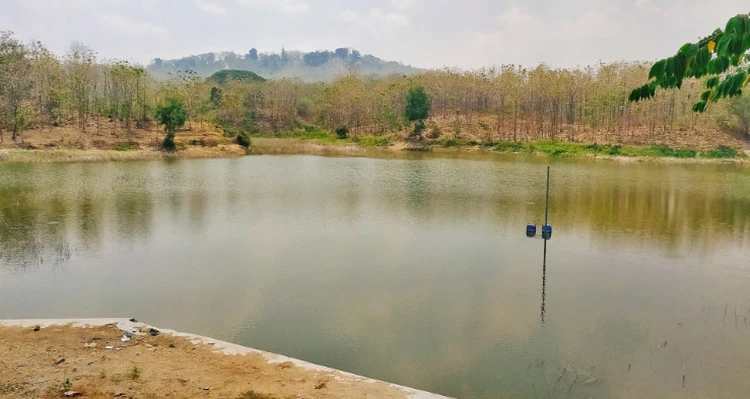 Jam Buka Wisata Waduk Kepuhrejo 