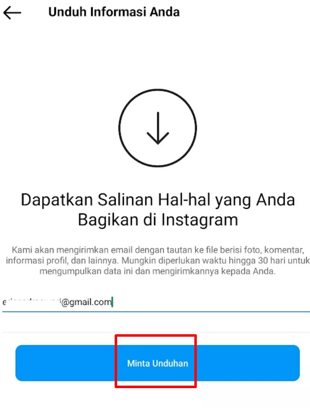 Cara Melihat Aktivitas di Instagram