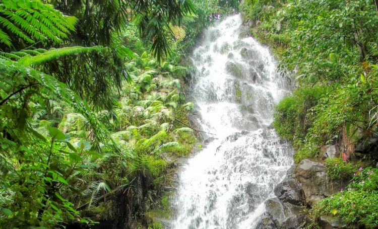 Alamat dan Rute Menuju Air Terjun Sekelip