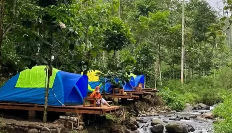 Harga Tiket Masuk Menuju Kebon Pitu Nicecamp 