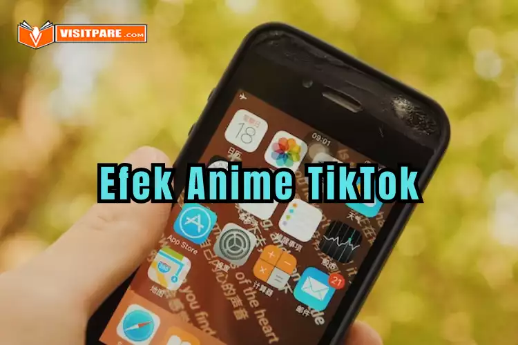 Efek Anime TikTok