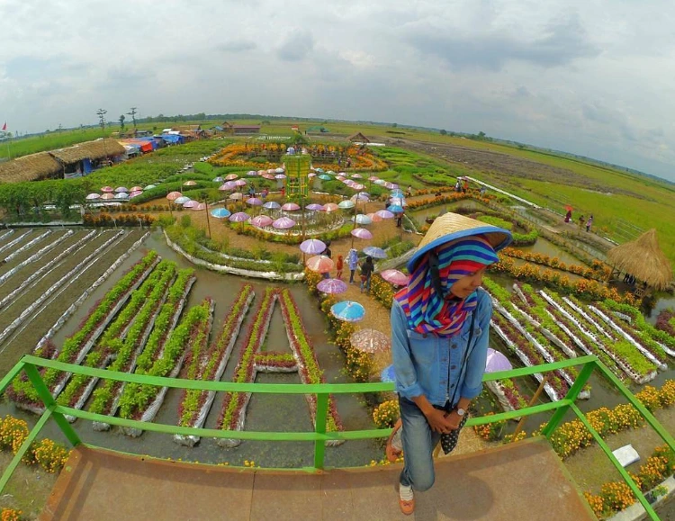 Daya Tarik Taman Ponggok Banjarsari