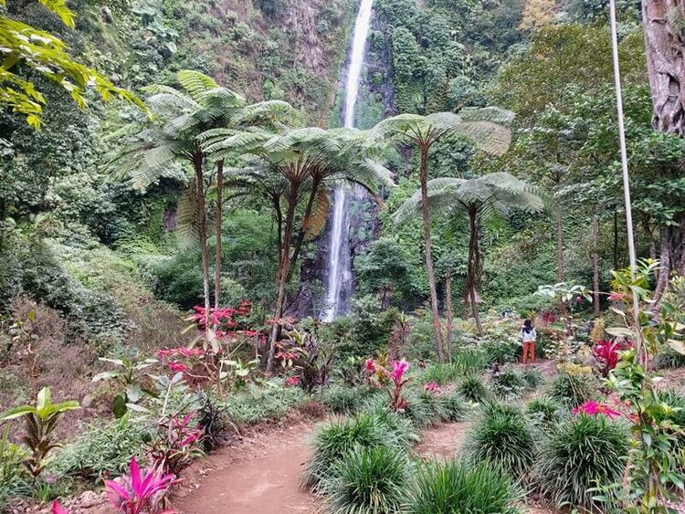 Rute Menuju Air Terjun Tancak Tulis