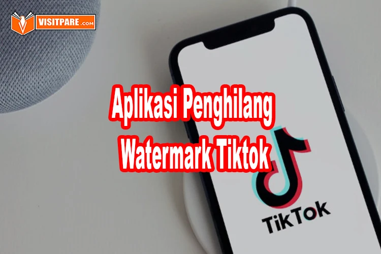 aplikasi penghilang watermark tiktok