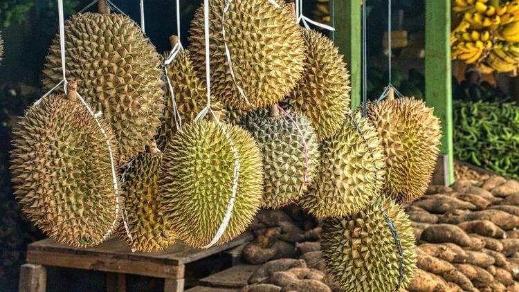 Musim Durian