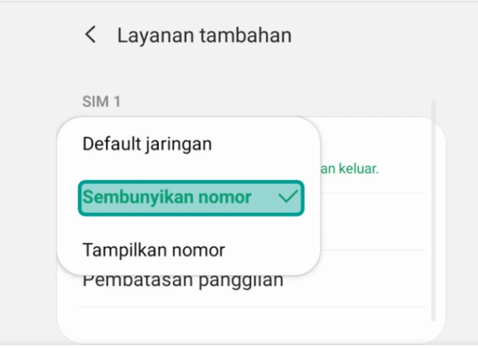 sembunyikan nomor