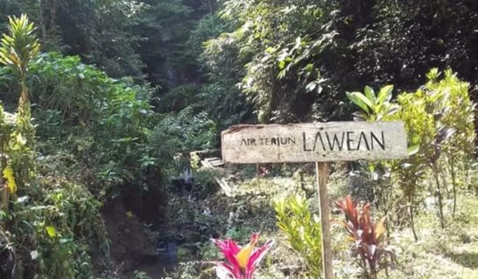 Air Terjun Lawean