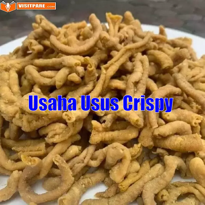 usaha usus crispy