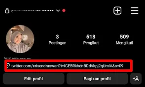 Cara Menambahkan Situs Web Instagram