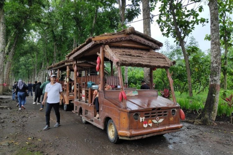 Naik Kereta Kayu