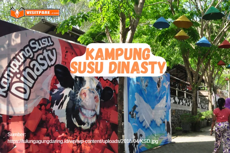 Kampung Susu Dinasty