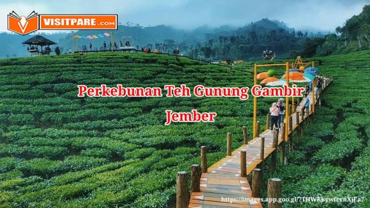 Perkebunan Teh Gunung Gambir