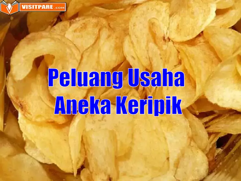 Peluang Usaha Aneka Keripik, Pilihan Bisnis dapat Untung Besar