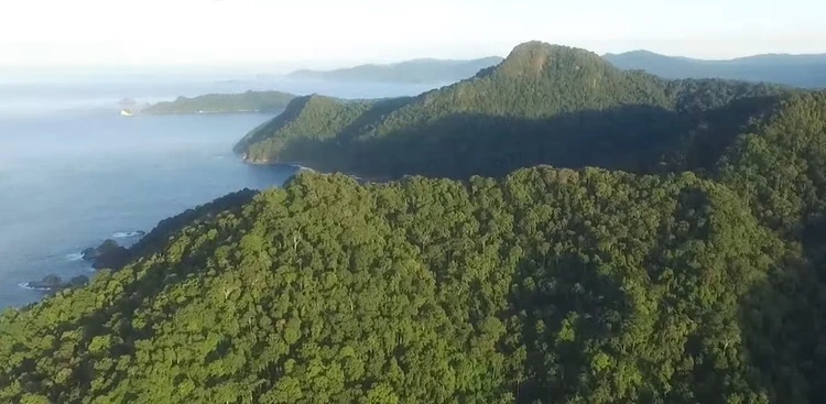 Taman Nasional Meru Betiri