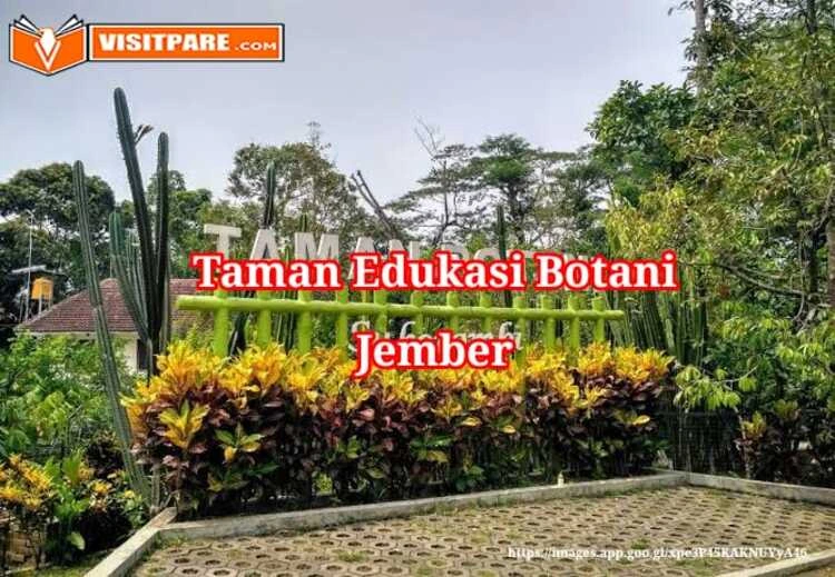 Taman Edukasi Botani