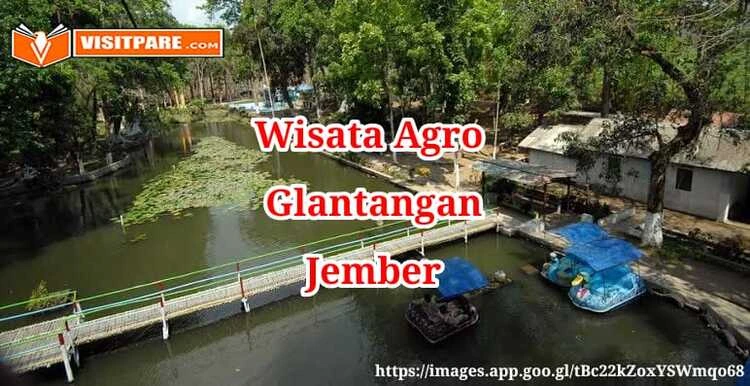 Wisata Agro Glantangan