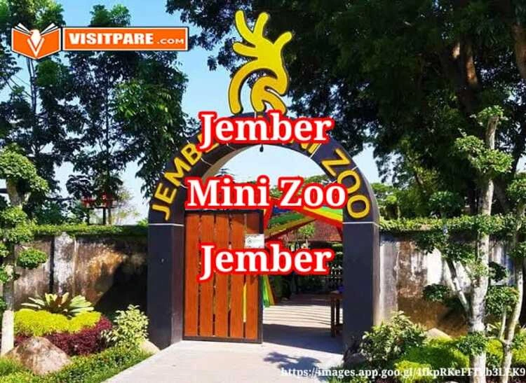 Jember Mini Zoo